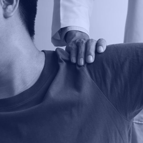 shoulder joint model